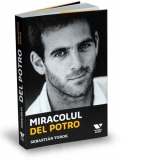 Miracolul Del Potro