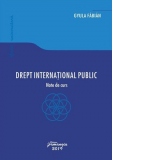 Drept international public. Note de curs