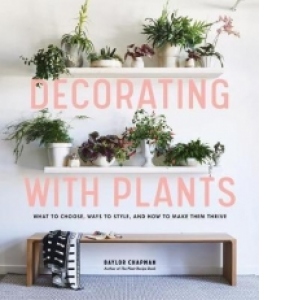 Decorating with Plants