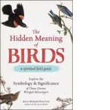 Hidden Meaning of Birds--A Spiritual Field Guide