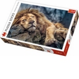 Puzzle Trefl 1000 Leu Dormind