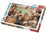 Puzzle Trefl 260 Pisicute