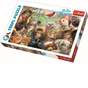 Puzzle Trefl 260 Pisicute