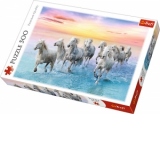 Puzzle Trefl 500 Cai Albi Galopand