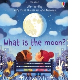 What is the Moon?