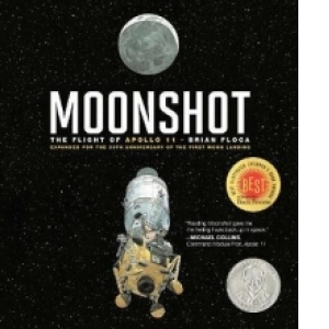 Moonshot