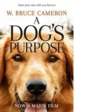 Dog's Purpose