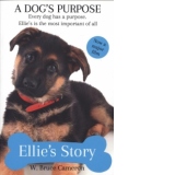 Ellie's Story