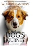 Dog's Journey