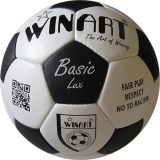 Minge fotbal din piele naturala Basic Lux, marimea 4