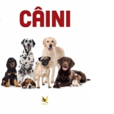 Caini. Animale de companie