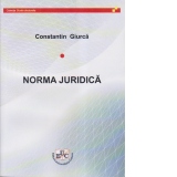 Norma juridica