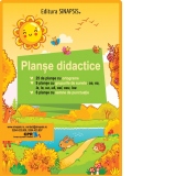 Planse didactice: Ortograme, grupuri de litere, semne de punctuatie