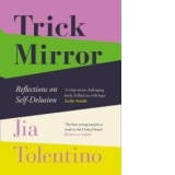 Trick Mirror