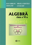 Algebra. Clasa a VI-a. Excelenta. Biblioteca Olimpiadelor de Matematica