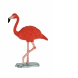 Flamingo rosu