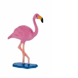 Flamingo roz