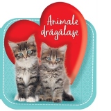 Animale dragalase