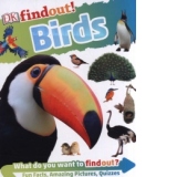 DKfindout! Birds