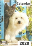 Calendar de perete, Caini si pisici (A4) 2020