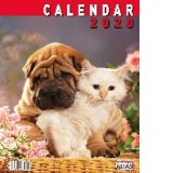 Calendar 6+1 file, Caini si Pisici 2020