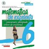 Matematica de excelenta pentru concursuri, olimpiade si centre de excelenta. Clasa a VI-a