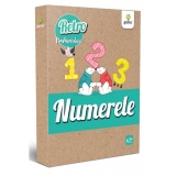 Retro Flashcard: Numerele