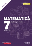 Matematica. Algebra, geometrie. Clasa a VII-a. Consolidare. Partea a II-a