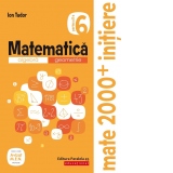 Matematica. Algebra, geometrie. Caiet de lucru. Clasa a VI-a. Initiere. Partea a II-a