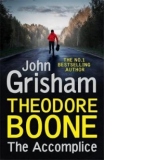 Theodore Boone: The Accomplice