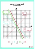 Functia lineara (transformari) fara sipci