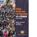 Public Health and Epidemiology at a Glance