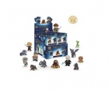 Mystery Mini Blind Box