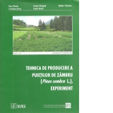 Tehnica de producere a puietilor de zambru (Pinus cembra L.). Experiment