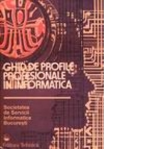 Ghid de profile profesionale in informatica