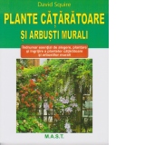 Plante cataratoare si arbusti murali