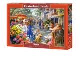 Puzzle de 500 piese Street of Dreams