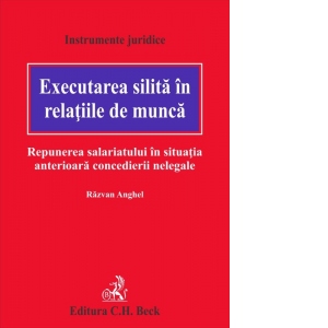 Executarea silita in relatiile de munca. Repunerea salariatului in situatia anterioara concedierii nelegale