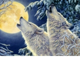 Puzzle - Moonlight, 1000 piese (70071)