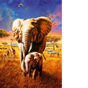 Puzzle - Adrian Chesterman: Elephant, 1000 piese (70314-P)