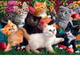 Puzzle Marthy H. Segelbaum: Kittens at Play, 260 piese (3327)