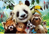 Puzzle Zoo Selfie, 500 piese (3596)