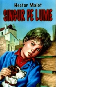 rezumat singur pe lume de hector malot Singur pe lume