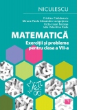 Matematica. Exercitii si probleme pentru clasa a VII-a