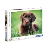 Puzzle Catelus brun, 500 piese