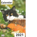 Calendar perete 2021, Pisici (format A4)