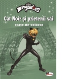 Cat Noir si prietenii sai. Carte de colorat