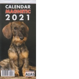 Calendar magnetic 2021, caini