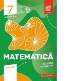 Matematica. Algebra, geometrie. Caiet de lucru. Clasa a VII-a. Initiere. Partea a II-a