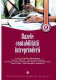 Bazele contabilitatii intreprinderii